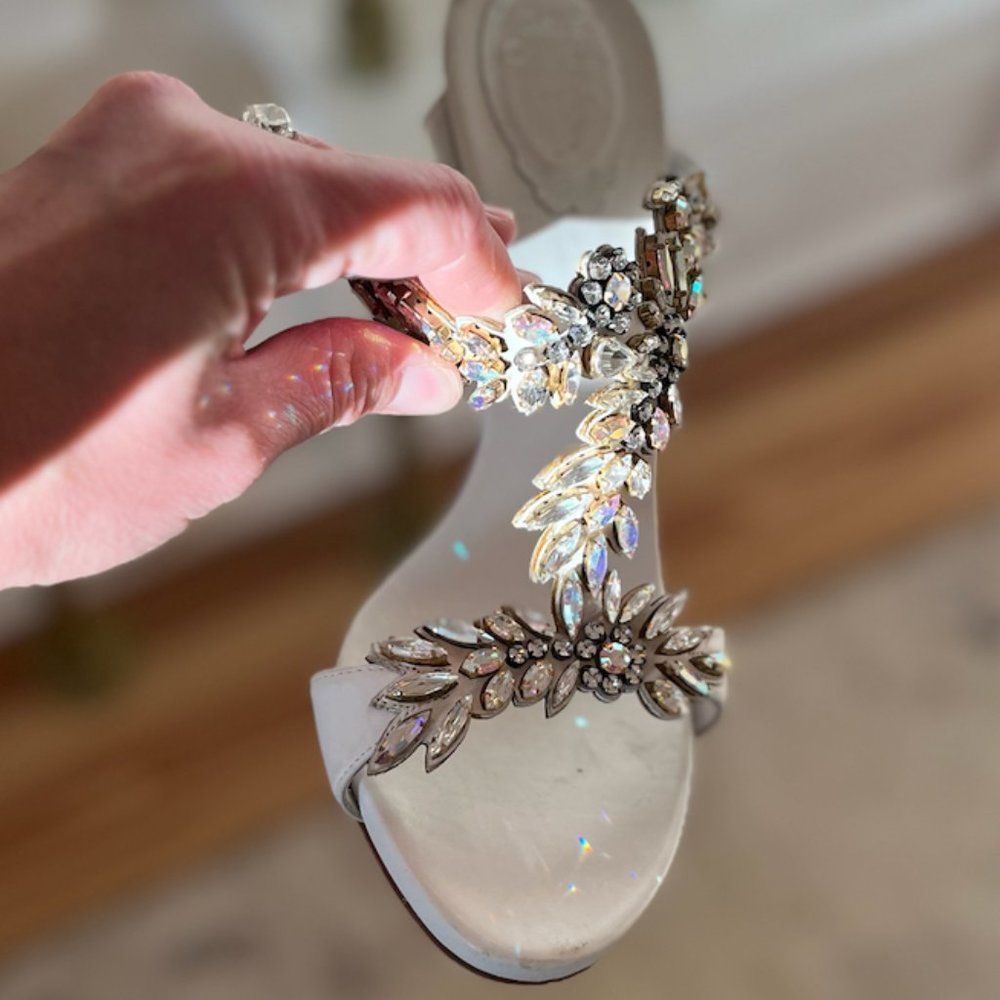 RENE CAOVILLA PUMPS WITH HEELS CRYSTAL